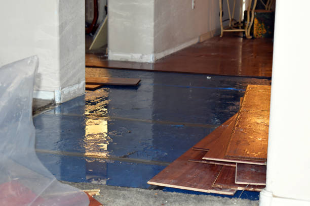 Professional Sewage Cleanup technician working in Platte City, MO